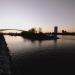 Jugendpark in Cologne city