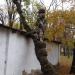 Скульптура «Пират» в городе Феодосия