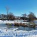 Заболоченный пруд в городе Домодедово