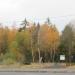 Площадка для выгула собак в городе Череповец