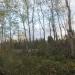 Строительная площадка в городе Череповец