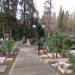 Памятник и воинские захоронения в городе Сочи
