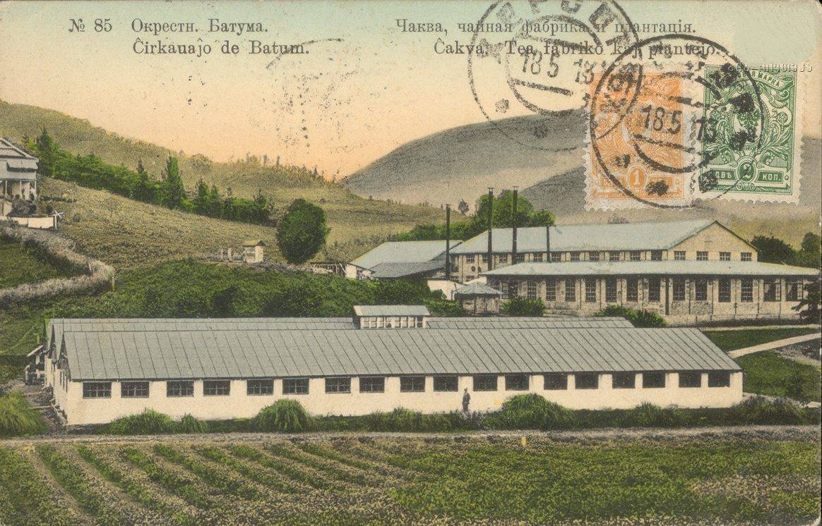 Former department sovkhoz Chakvi - Chakvi