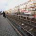 Stadtbahnhaltestelle Maarweg (de) in Cologne city