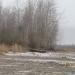 Каменистый берег в городе Череповец