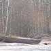 Каменистый берег в городе Череповец