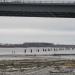 Столбы в городе Череповец