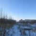 Рощица в городе Череповец