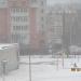 Цветник в городе Череповец