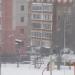 Цветник в городе Череповец