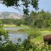 Wichita Mountains Wildlife Refuge