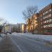 Тополь в городе Череповец