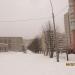 Рябиновая аллея в городе Череповец