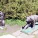 Скульптурная группа зверей в городе Ставрополь