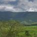 Pico do Pires