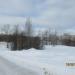 Роща в городе Череповец