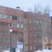 Тополь в городе Череповец