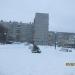 Ель в городе Череповец