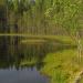 Gagarinskoye lake