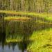 Gagarinskoye lake