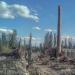 Руины мартеновского цеха в городе Николаев