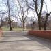 Platan klonolistny (pl) in Warsaw city