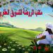 الروضة للتسويق العقارى بالمحلة الكبرى