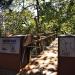 Treetop Walk, passadiço elevado na Porto city