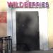 Ликвидированный пункт выдачи заказа интернет-магазина Wildberries в городе Хабаровск