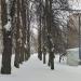 Сохранившийся фрагмент обсадки Старой Серпуховской дороги в городе Москва
