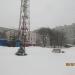 Ель в городе Череповец