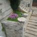 Flower bed (en) في ميدنة الناصرة 