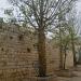 Baobab (en) في ميدنة الناصرة 