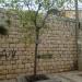 Tree (en) في ميدنة الناصرة 