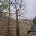 Baobab (en) في ميدنة الناصرة 