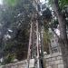 Pylon 2/212B (en) في ميدنة الناصرة 