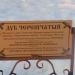 Дерево в городе Бор