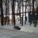 Ледовый дворец «Полярис» в городе Владимир