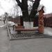 Дуб черешчатый в городе Владимир