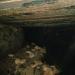 Коллектор подземной реки Казанка в городе Симферополь