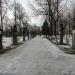 Аллея славы в городе Мценск