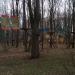 Верёвочный парк в городе Старая Русса