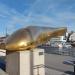 Goldener Waller in Regensburg city