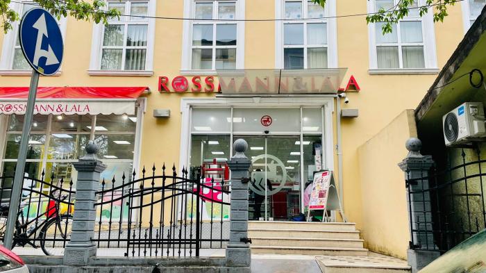 Rossmann (company) - Wikipedia