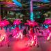 Световое танцевально-вокальное шоу Quintessence в городе Москва