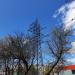 Опора № 22 ЛЭП-110 кВ «Новобратцево — Свобода» в городе Москва