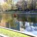 Плавучий домик для водоплавающих птиц в городе Москва
