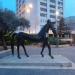 Horse Statue in Jerusalem city