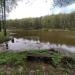 Pond
