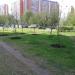 Яблоневая аллея в городе Москва